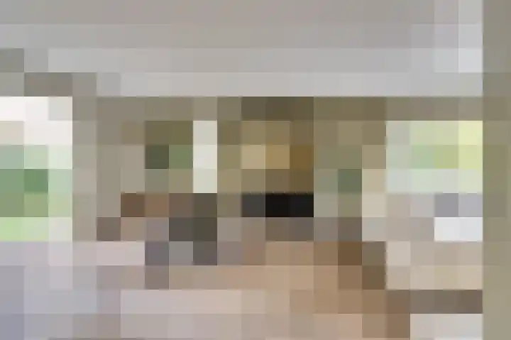 Annie Romeinstraat 8 Waalwijk thumbnail 8