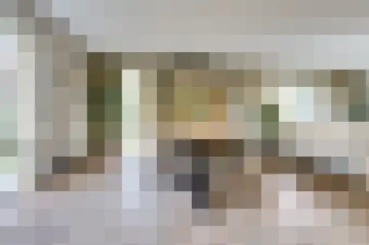 Annie Romeinstraat 8 Waalwijk thumbnail 9