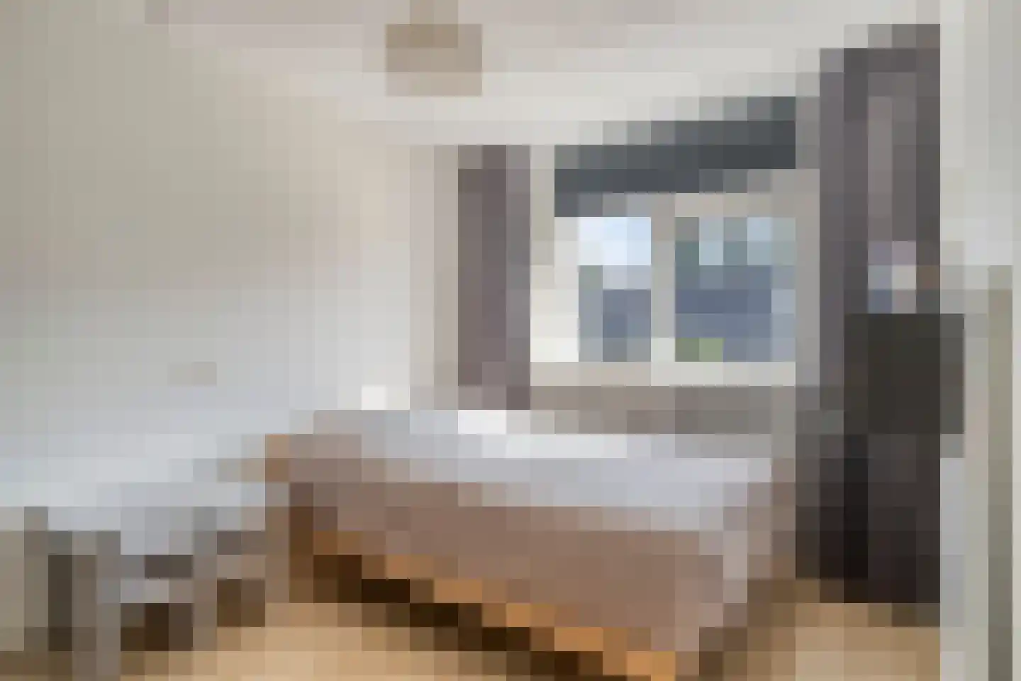 Annie Salomonshof 31 Schiedam thumbnail 17