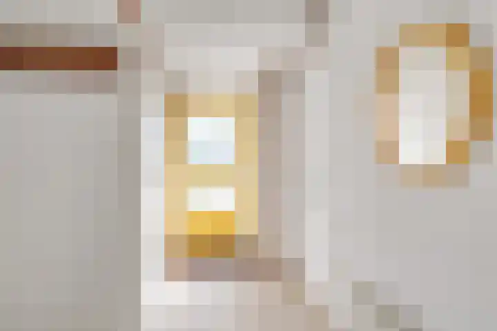 Annie Salomonshof 35 Schiedam thumbnail 8