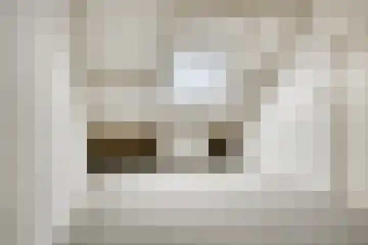 Annie Salomonshof 43 Schiedam thumbnail 16
