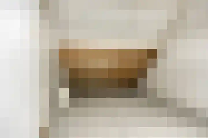 Annie Salomonshof 43 Schiedam thumbnail 17