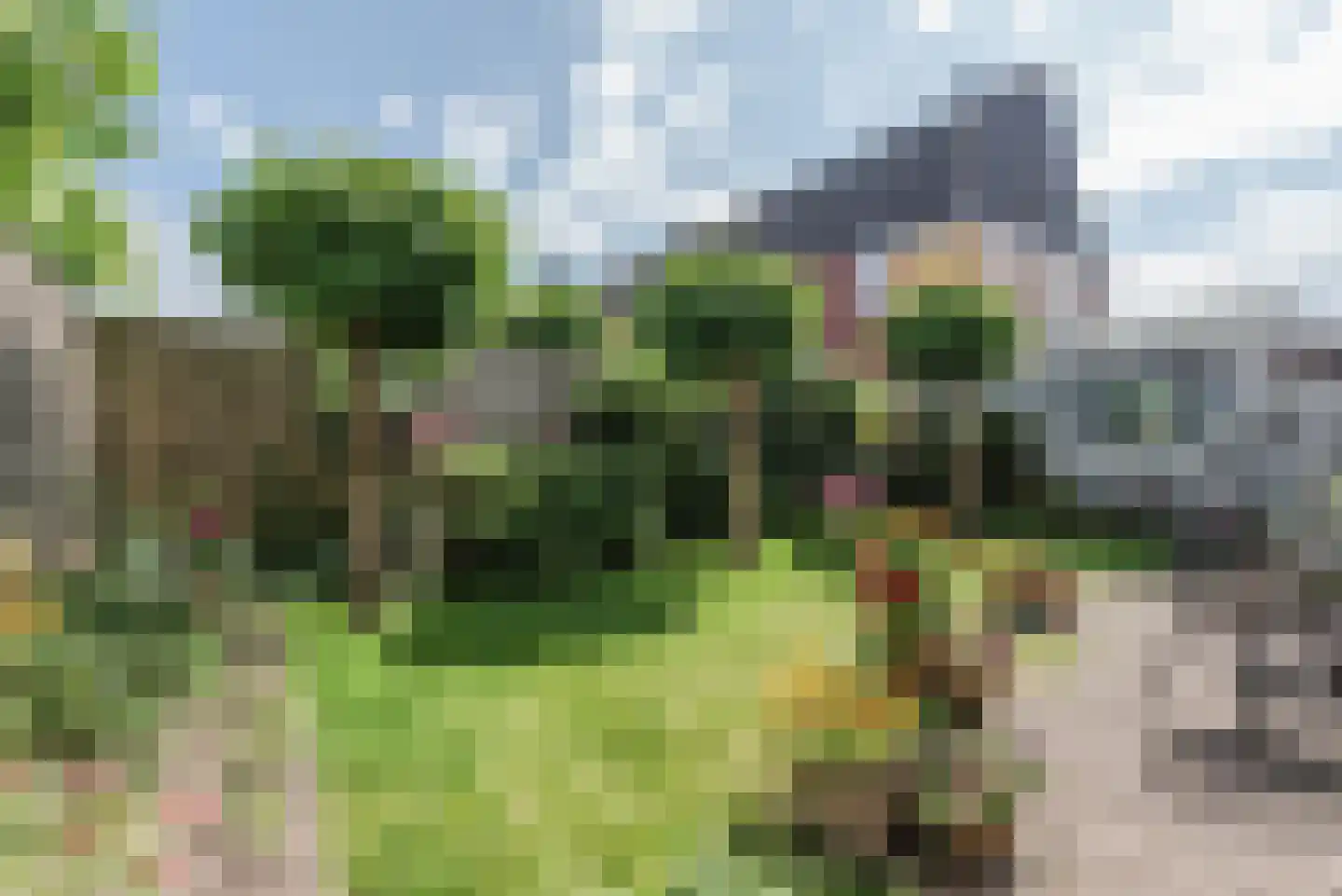 Annie Salomonslaan 2 Harderwijk thumbnail 44