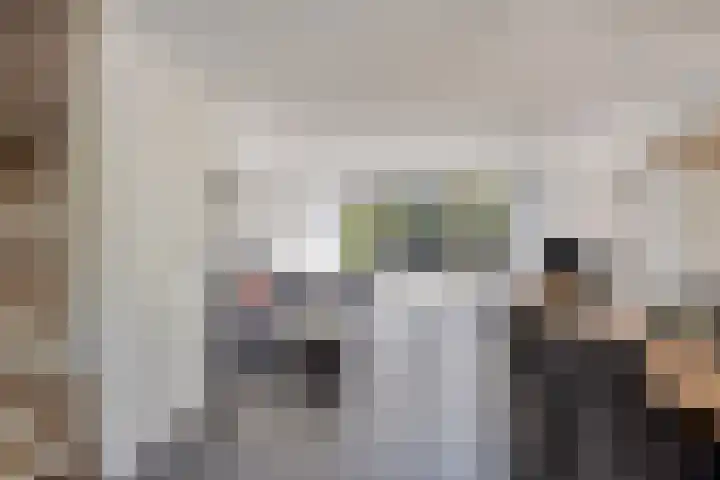 Annie Salomonspad 20 Rotterdam thumbnail 10