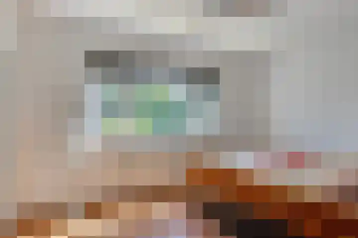 Annie Salomonspad 20 Rotterdam thumbnail 15