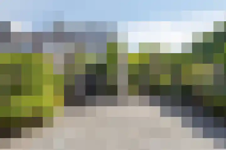 Annie Salomonspad 20 Rotterdam thumbnail 5