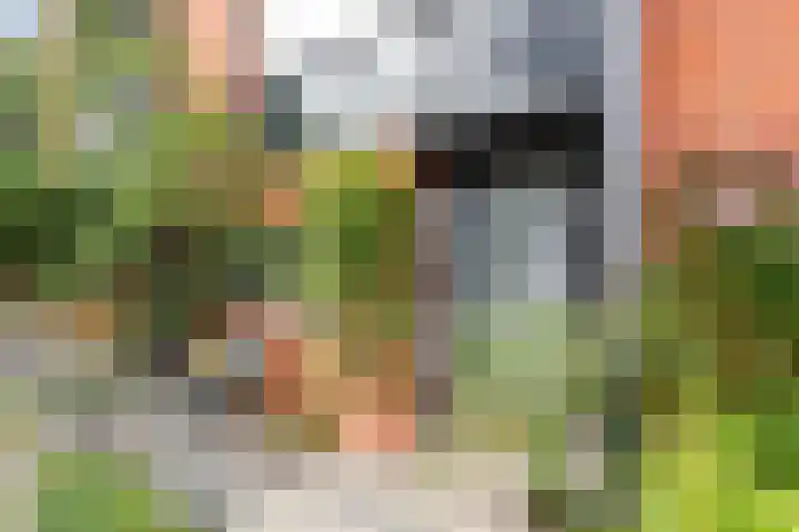 Annie van Eesstraat 1 Rotterdam thumbnail 4