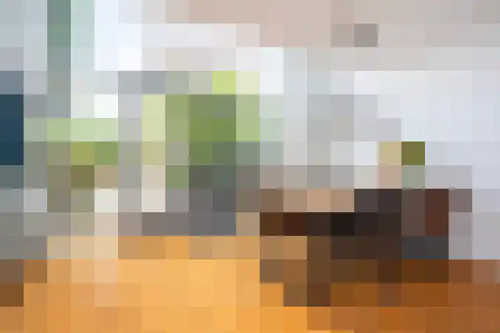 Annie van Eesstraat 1 Rotterdam thumbnail 5