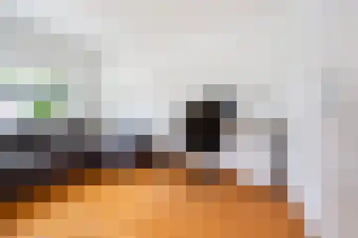 Annie van Eesstraat 1 Rotterdam thumbnail 9