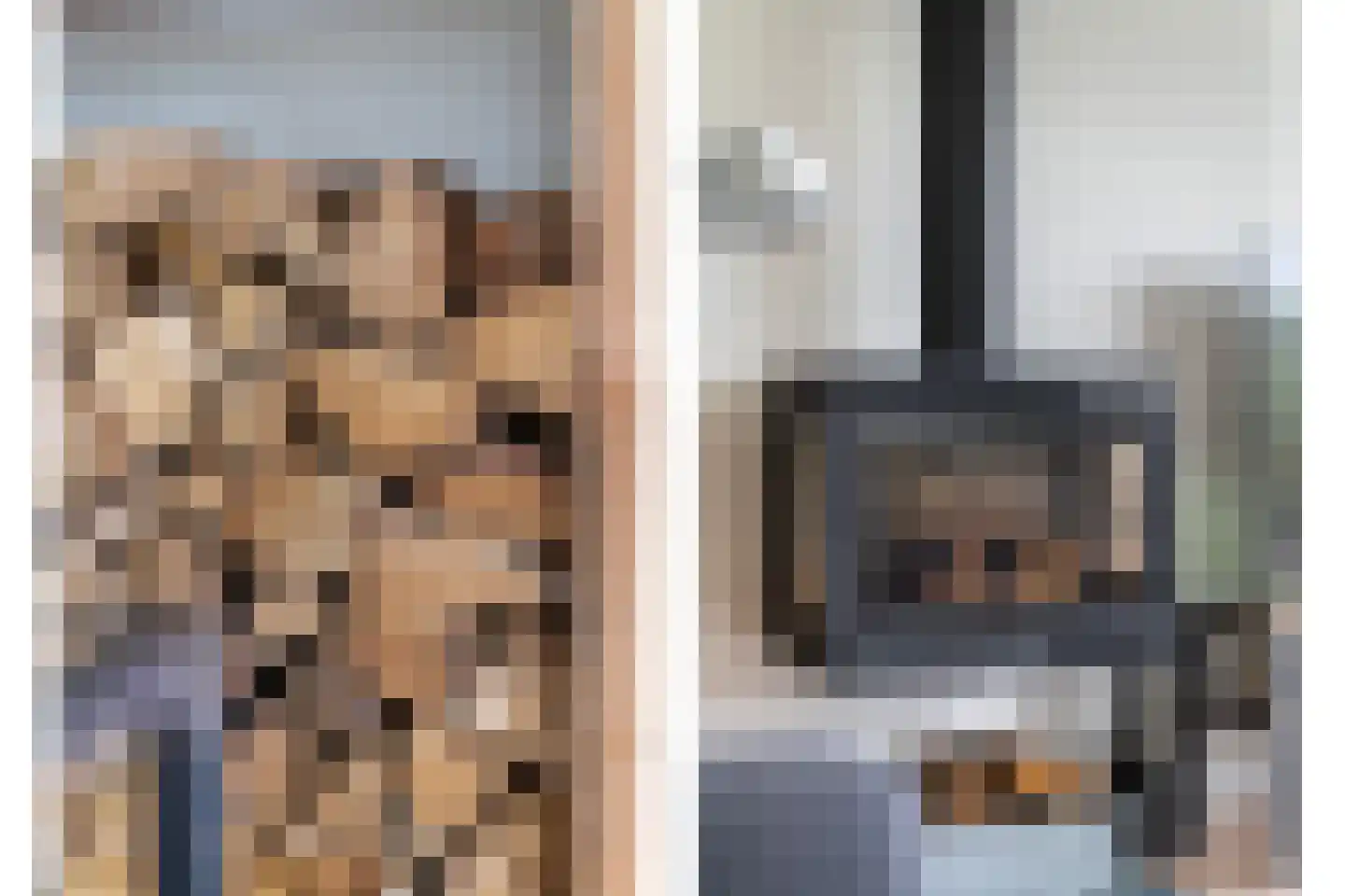 Annie van Eesstraat 15 Rotterdam thumbnail 13