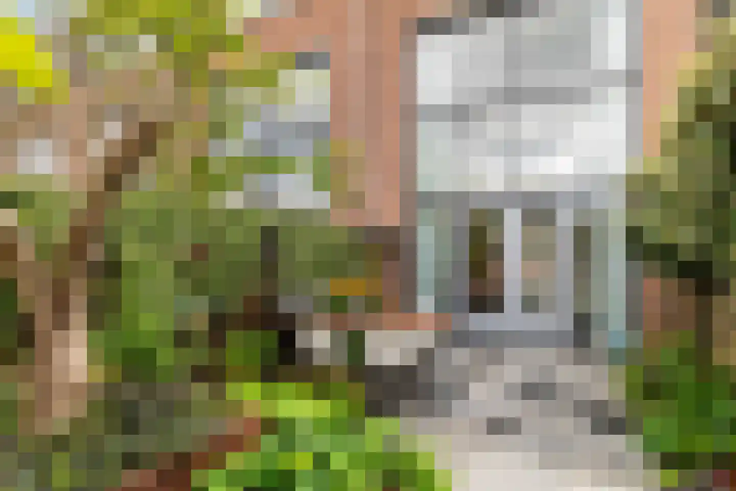 Annie van Eesstraat 15 Rotterdam thumbnail 29