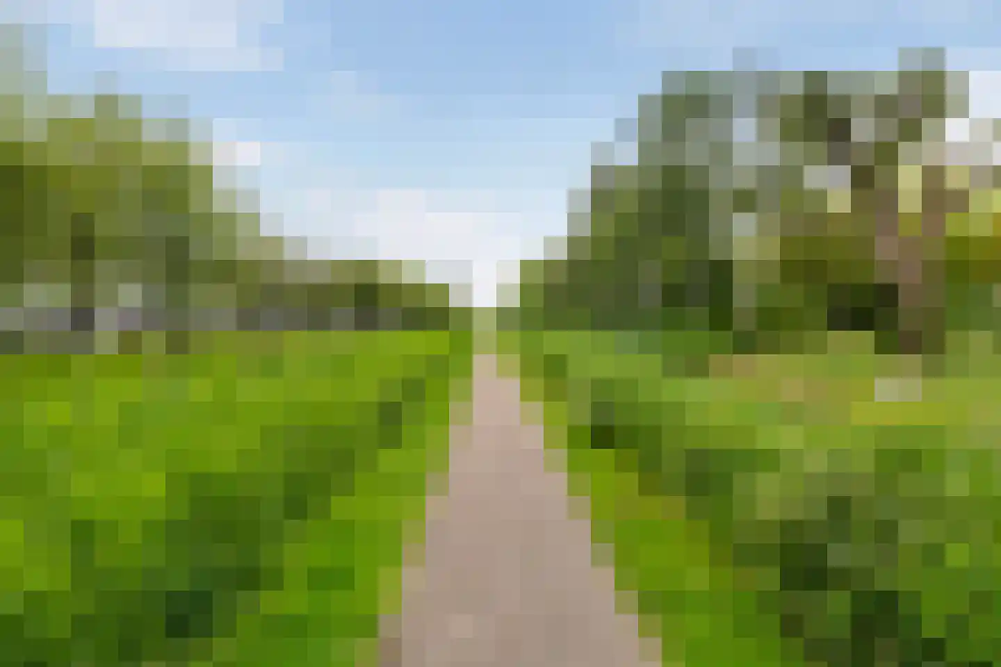 Annie van Eesstraat 15 Rotterdam thumbnail 35