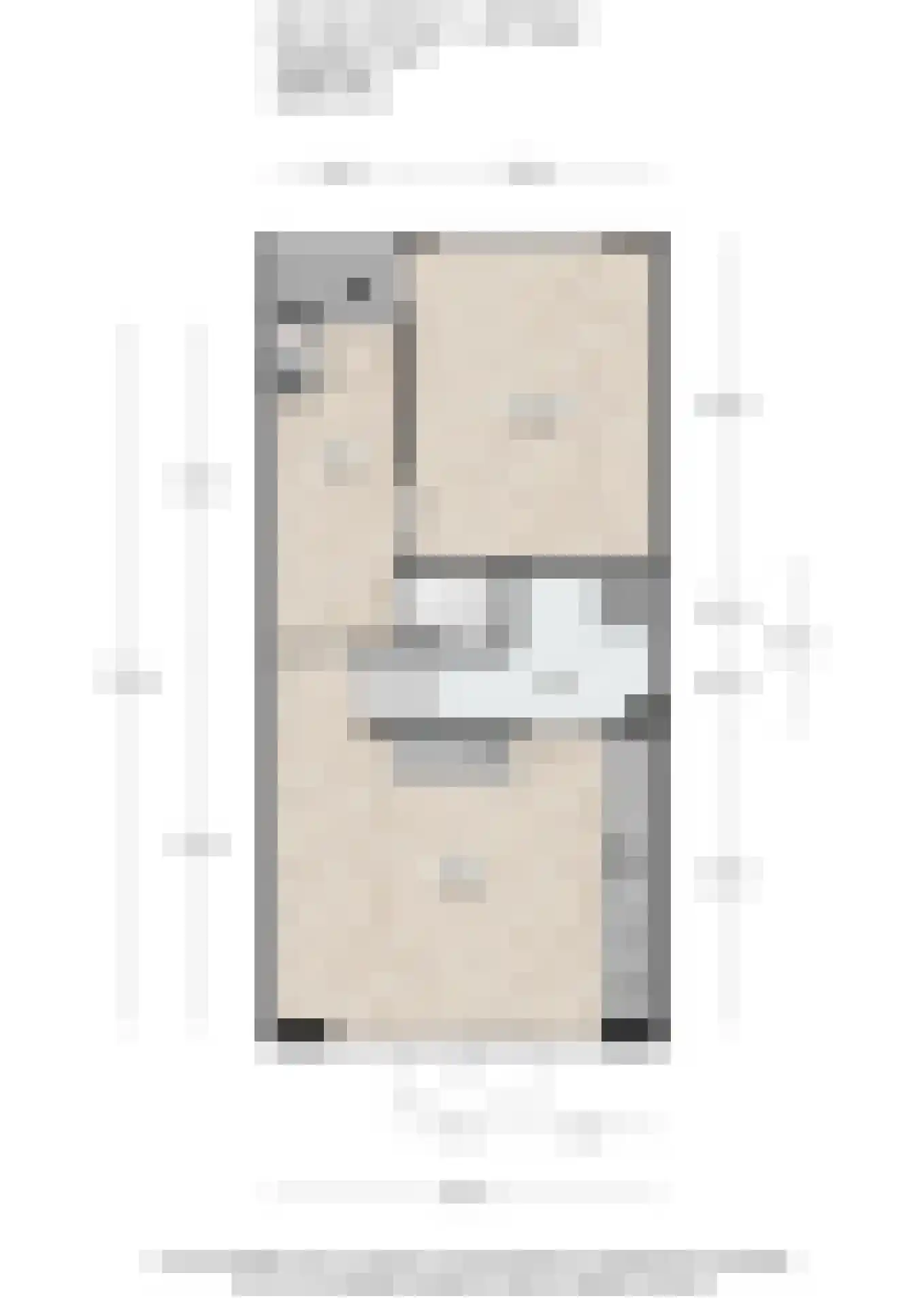 Annie van Eesstraat 15 Rotterdam thumbnail 39