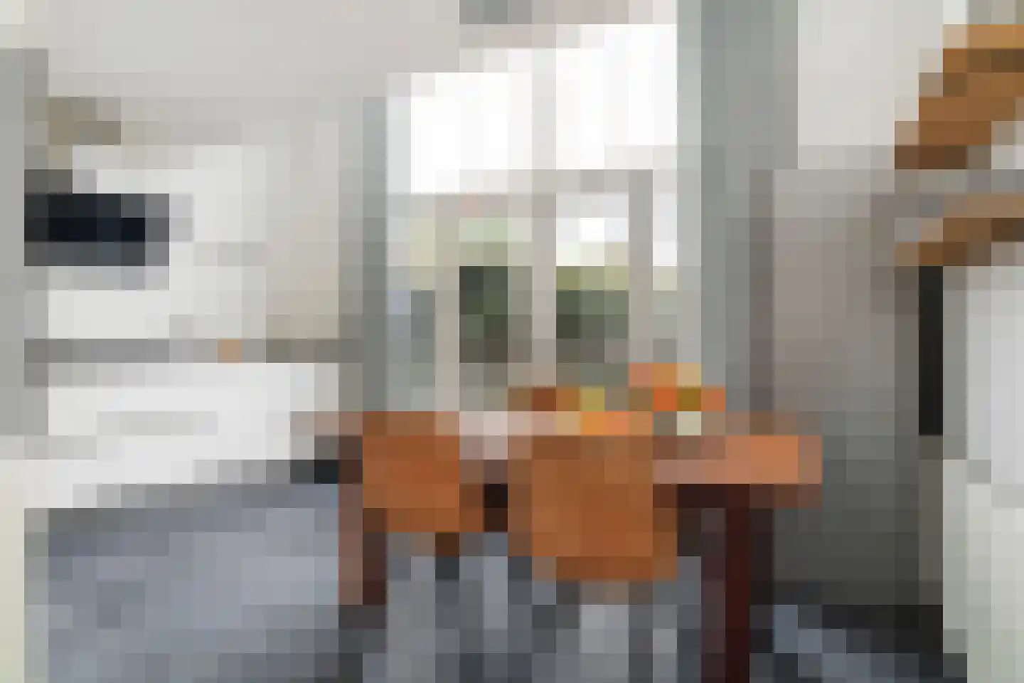 Annie van Eesstraat 15 Rotterdam thumbnail 4