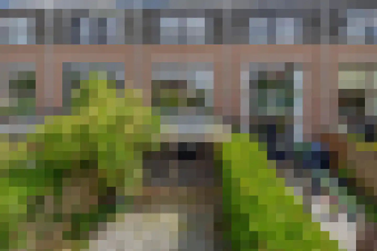 Annie van Eesstraat 23 Rotterdam thumbnail 16
