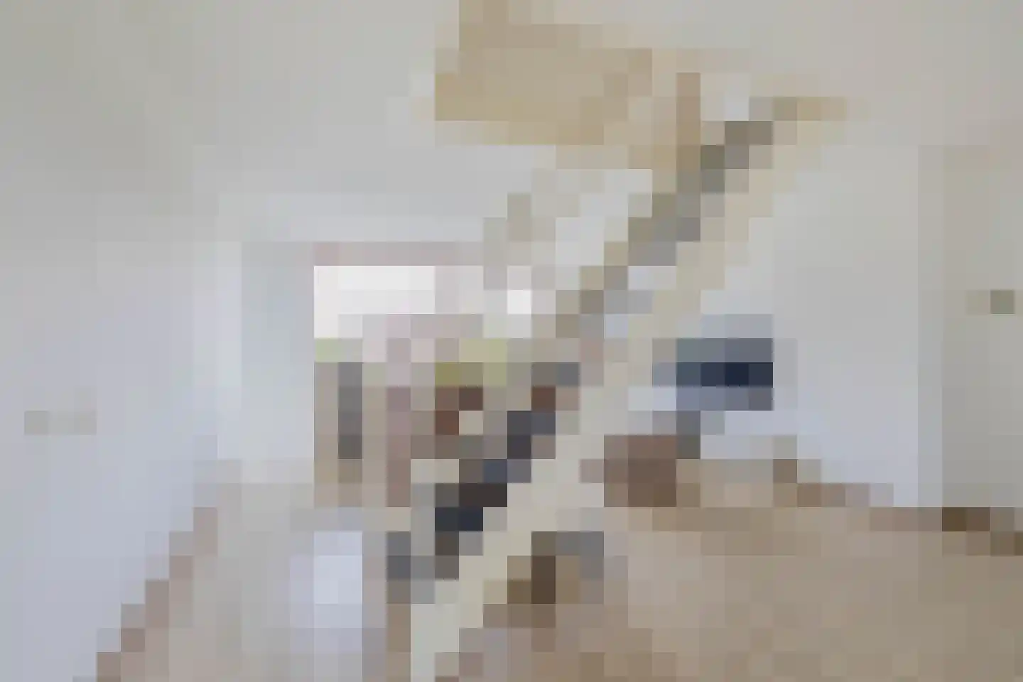 Annie van Eesstraat 23 Rotterdam thumbnail 19