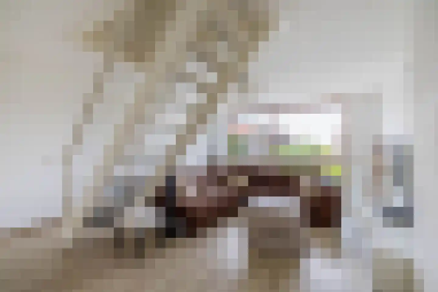 Annie van Eesstraat 23 Rotterdam thumbnail 4