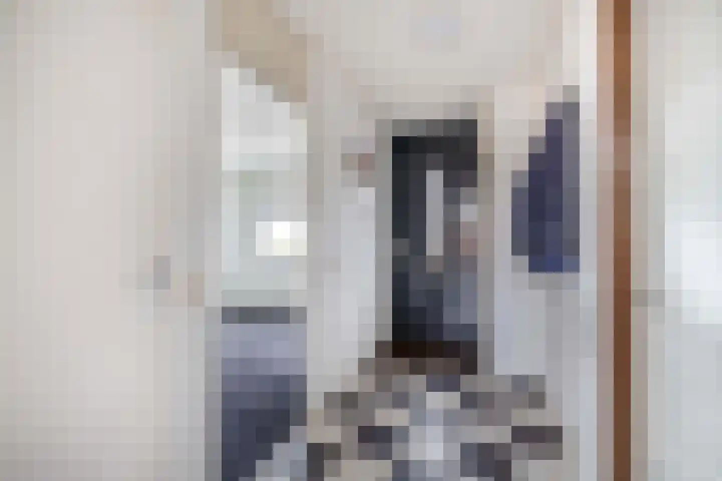 Annie van Eesstraat 23 Rotterdam thumbnail 8