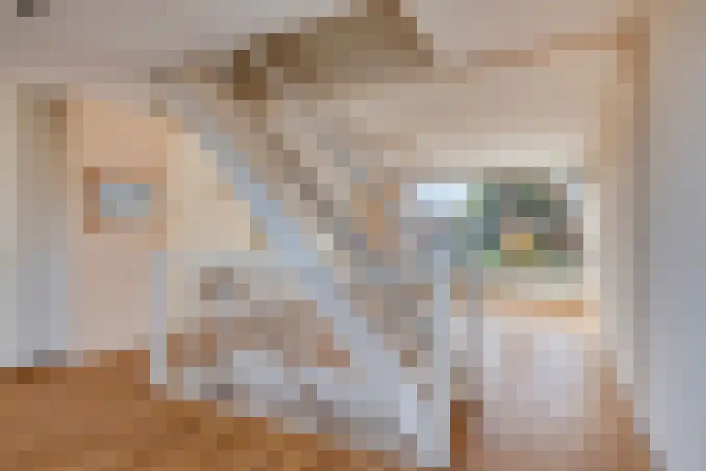 Annie van Eesstraat 27 Rotterdam thumbnail 8