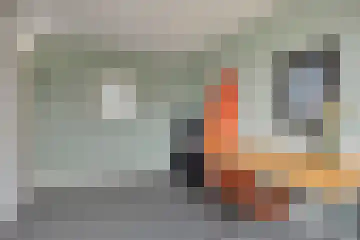 Annie van Eesstraat 28 Zaandam thumbnail 27
