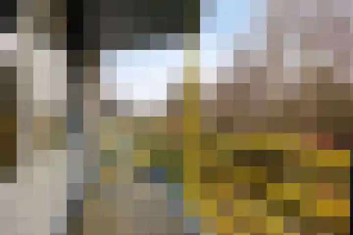 Annie van Eesstraat 28 Zaandam thumbnail 28