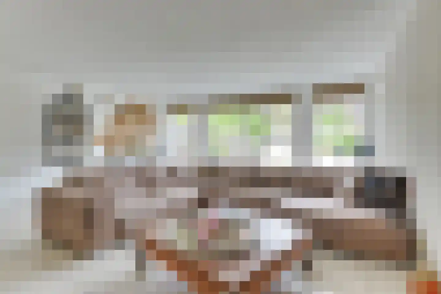Annie van Eestuin 10 Heerhugowaard thumbnail 13