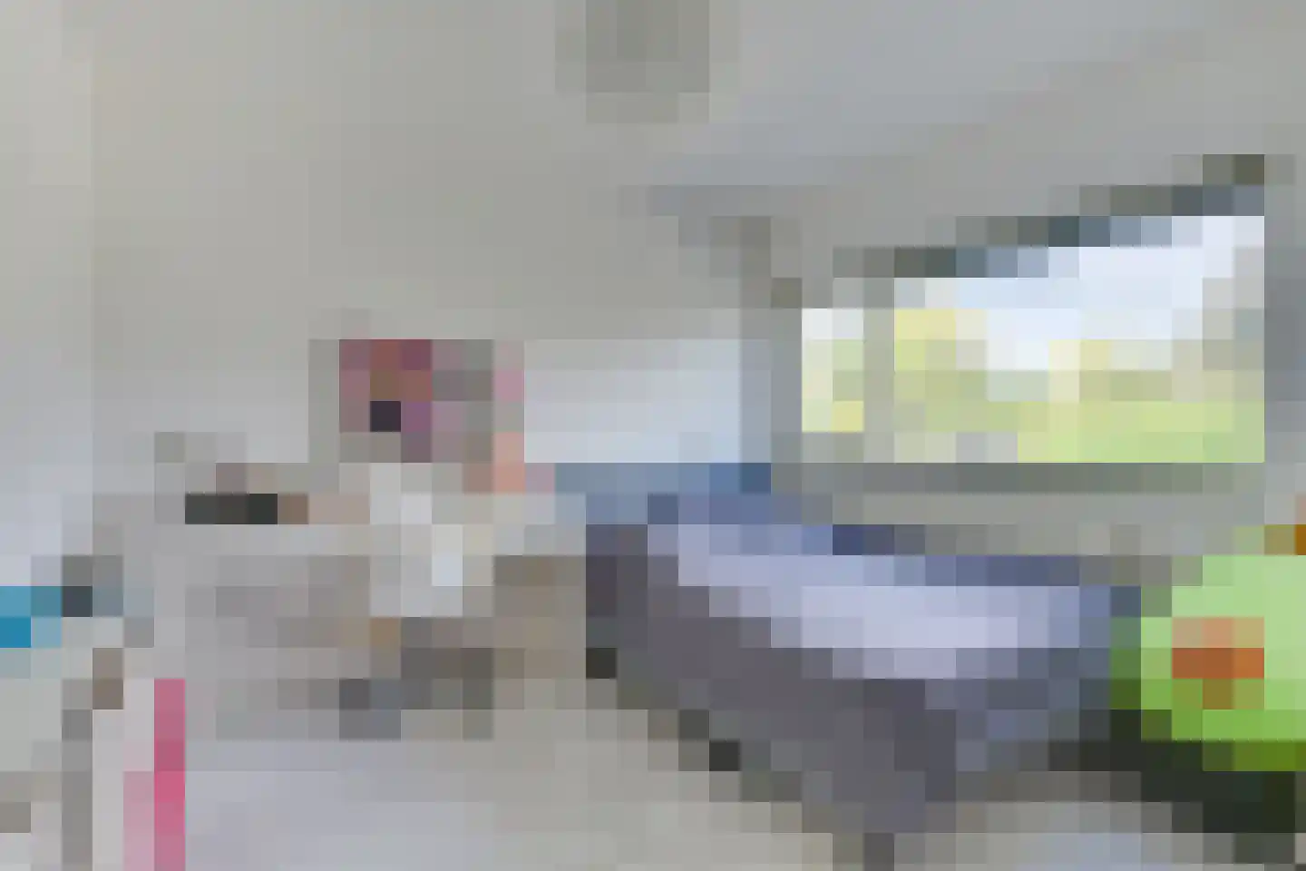 Annie van Eestuin 10 Heerhugowaard thumbnail 33