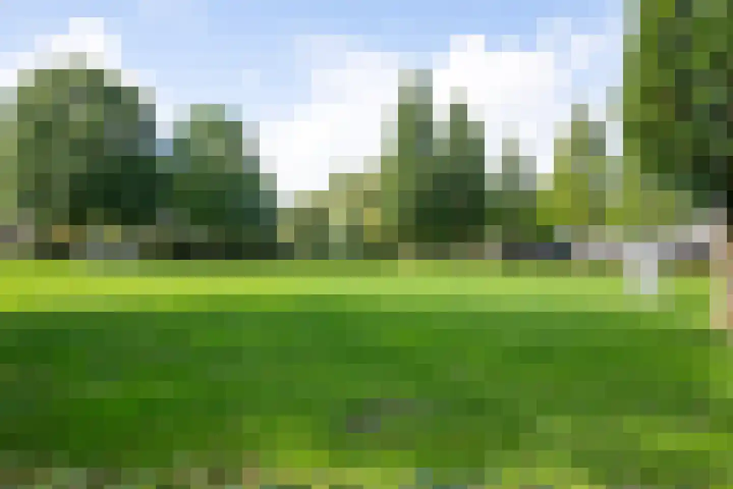 Annie van Eestuin 10 Heerhugowaard thumbnail 53