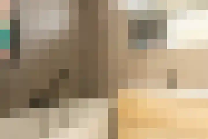 Annie van Hattemstraat 1 Spijkenisse thumbnail 13