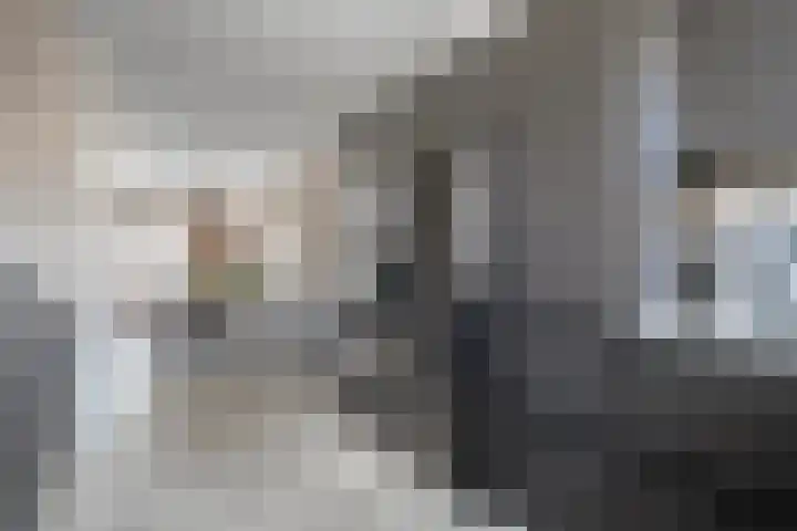 Annie van Hattemstraat 20 Spijkenisse thumbnail 10