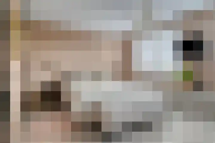 Annie van Hattemstraat 20 Spijkenisse thumbnail 17