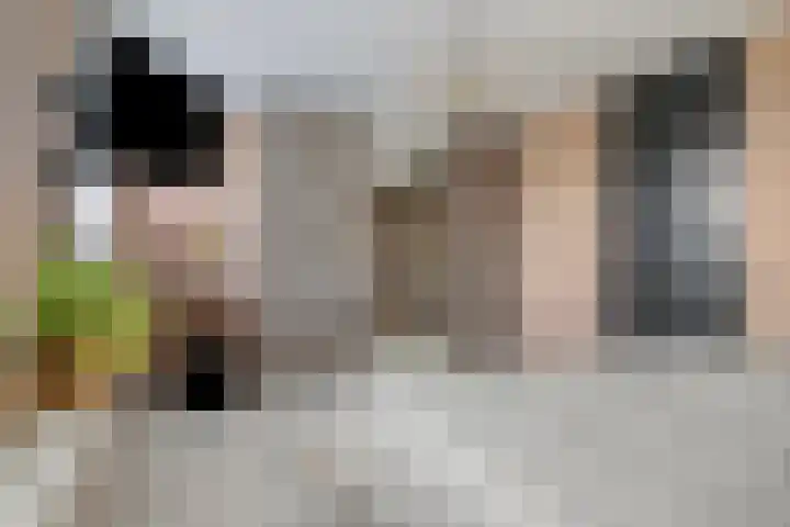 Annie van Hattemstraat 20 Spijkenisse thumbnail 18
