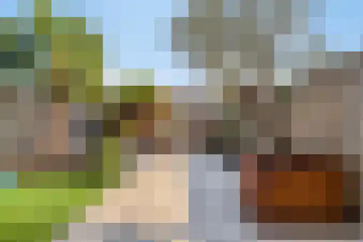 Annie van Hattemstraat 20 Spijkenisse thumbnail 29