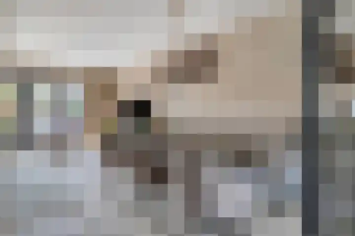 Annie van Hattemstraat 20 Spijkenisse thumbnail 4