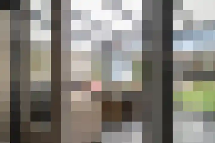 Annie van Hattemstraat 24 Spijkenisse thumbnail 11
