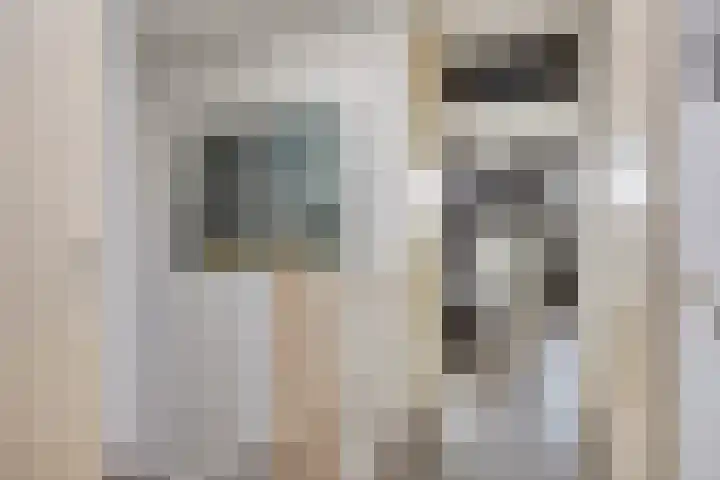 Annie van Hattemstraat 24 Spijkenisse thumbnail 15