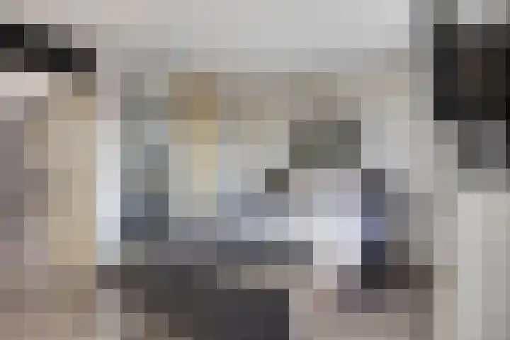Annie van Hattemstraat 24 Spijkenisse thumbnail 17