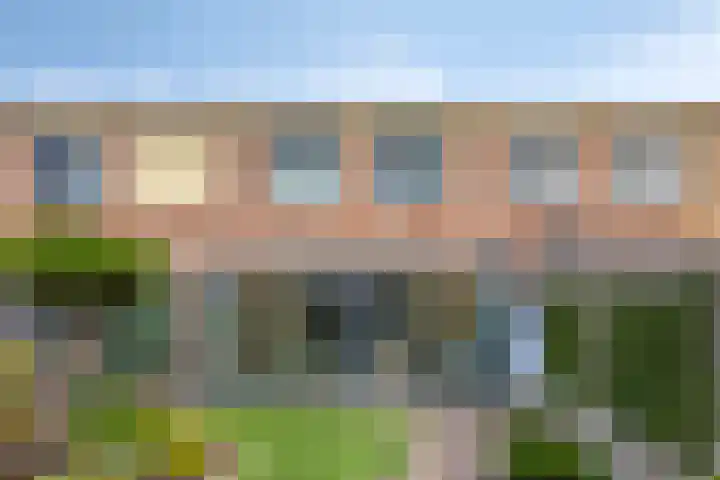 Annie van Hattemstraat 24 Spijkenisse thumbnail 32