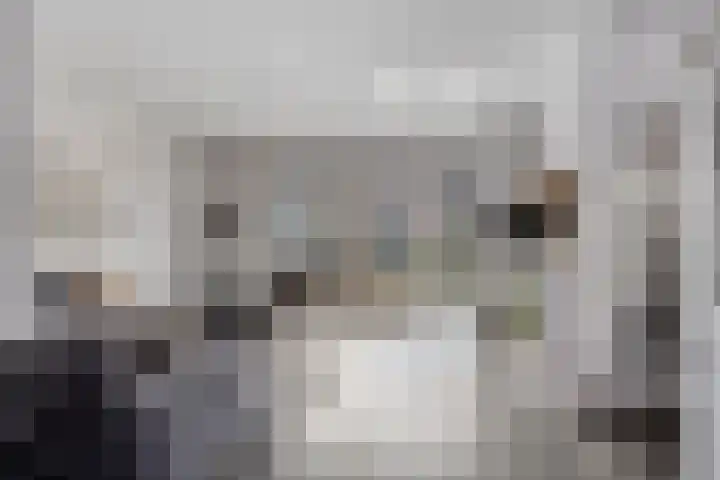 Annie van Hattemstraat 24 Spijkenisse thumbnail 4