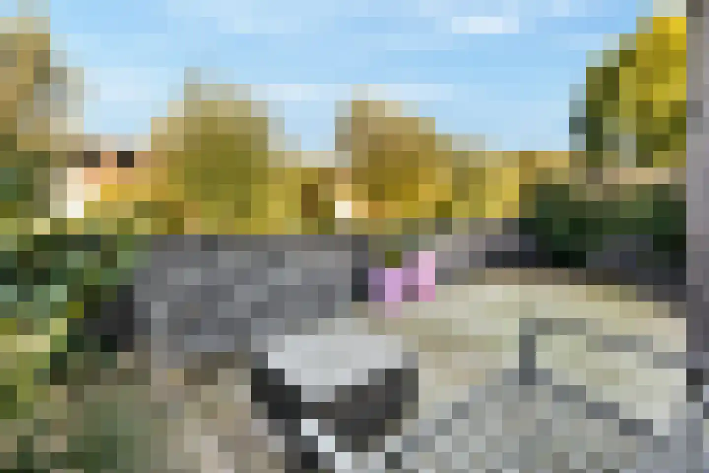 Annie van Hattemstraat 5 Leiden thumbnail 19