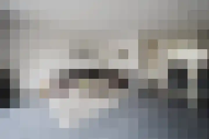 Annie van Hattemstraat 6 Spijkenisse thumbnail 11
