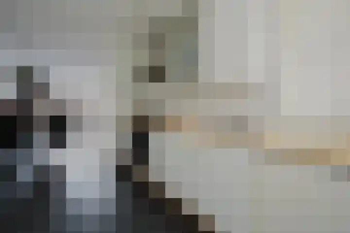 Annie van Hattemstraat 6 Spijkenisse thumbnail 14