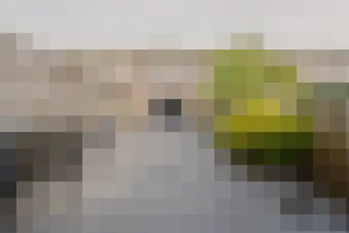 Annie van Hattemstraat 6 Spijkenisse thumbnail 17
