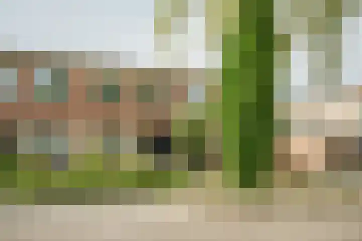 Annie van Hattemstraat 6 Spijkenisse thumbnail 7