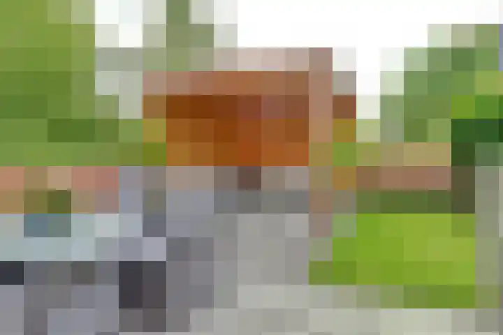 Annie van Hattemtuin 19 Heerhugowaard thumbnail 10