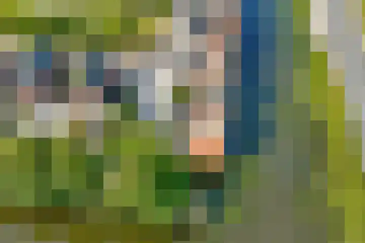 Annie van Hattemtuin 19 Heerhugowaard thumbnail 5