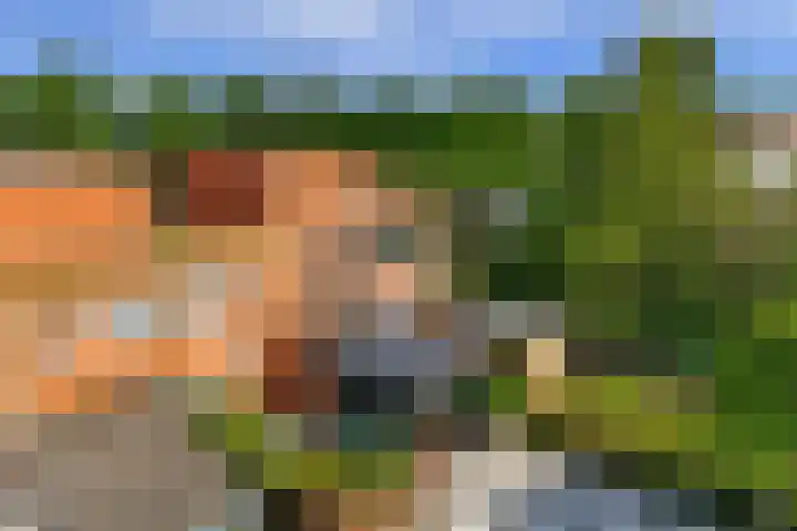 Annie van Hattemtuin 19 Heerhugowaard thumbnail 7