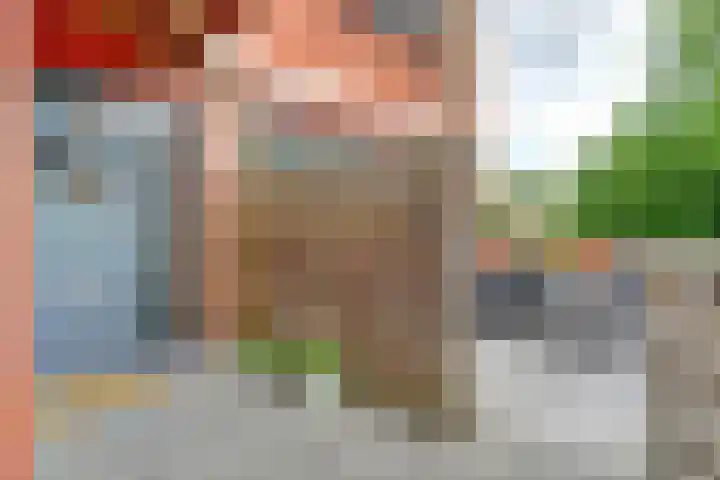 Annie van Hattemtuin 19 Heerhugowaard thumbnail 8