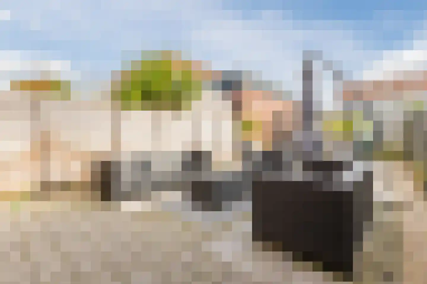 Annie van Hattemtuin 24 Heerhugowaard thumbnail 36