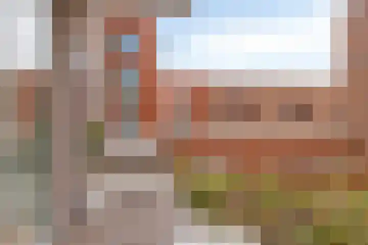 Annie van Velzenhof 23 Lent thumbnail 27